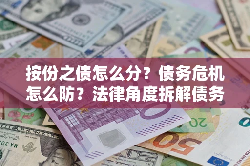 武汉按份之债怎么分？债务危机怎么防？法律角度拆解债务分配与风险自保指南