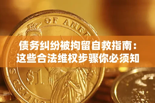 武汉债务纠纷被拘留自救指南：这些合法维权步骤你必须知道！