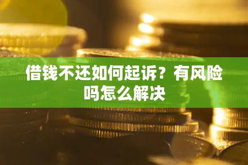 武汉借钱不还如何起诉？有风险吗怎么解决
