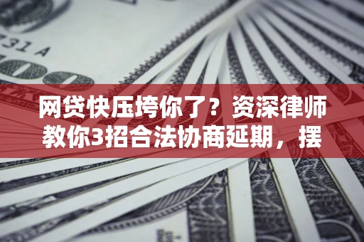 武汉网贷快压垮你了？资深律师教你3招合法协商延期，摆脱暴力催收！