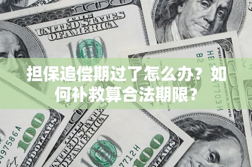 武汉担保追偿期过了怎么办？如何补救算合法期限？