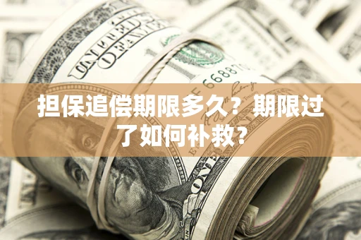 武汉担保追偿期限多久？期限过了如何补救？