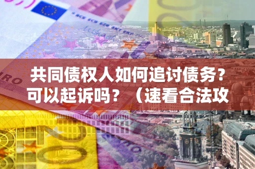 武汉共同债权人如何追讨债务？可以起诉吗？（速看合法攻略）