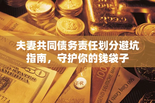 武汉夫妻共同债务责任划分避坑指南，守护你的钱袋子