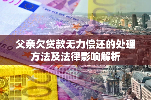 武汉父亲欠贷款无力偿还的处理方法及法律影响解析