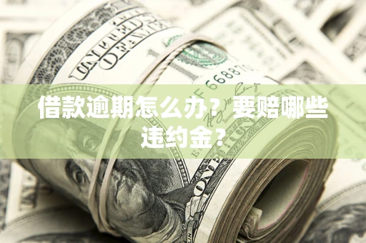武汉借款逾期怎么办？要赔哪些违约金？