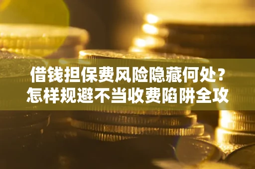 武汉借钱担保费风险隐藏何处？怎样规避不当收费陷阱全攻略！