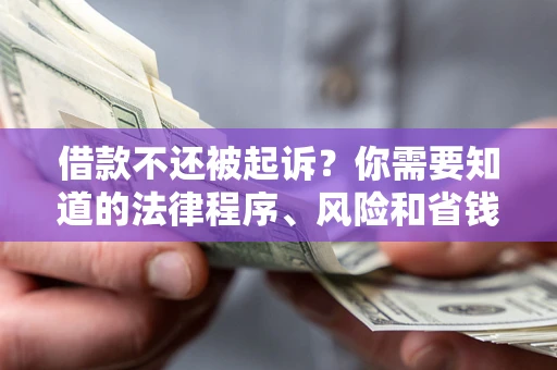 武汉借款不还被起诉？你需要知道的法律程序、风险和省钱技巧