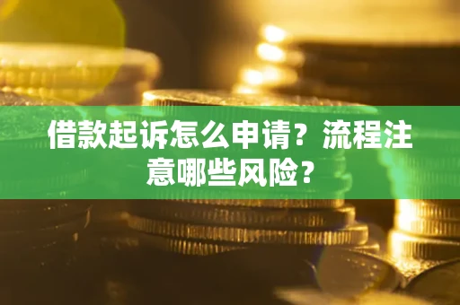 武汉借款起诉怎么申请？流程注意哪些风险？