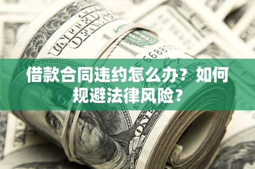 武汉借款合同违约怎么办？如何规避法律风险？